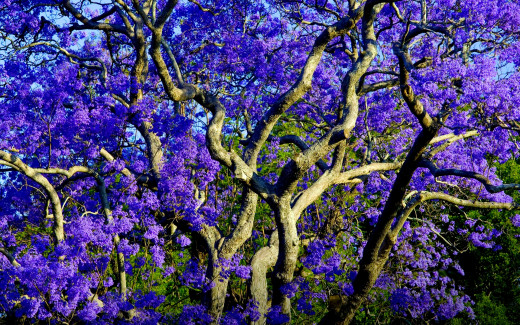 1021953 (a): :1920x1200